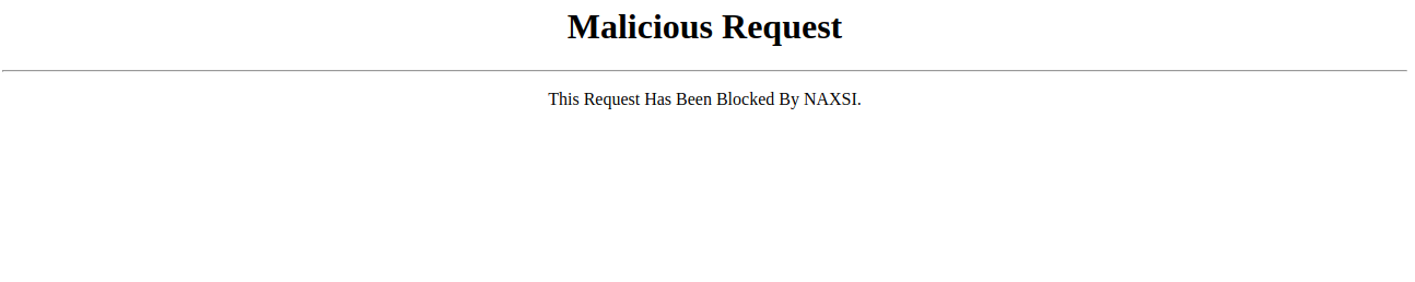naxsi1.png